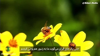 به رهبری وحی میشه؟!