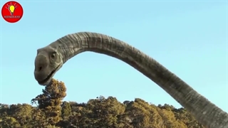 دایناسورها چه بودند؟ مروری بر حکمرانی بزرگترین موجودات روی زمین