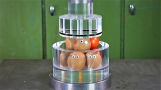 پرس هیدرولیک شفاف