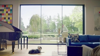 دانلود رایگان فیلم سینمایی مرد در مقابل زنبور