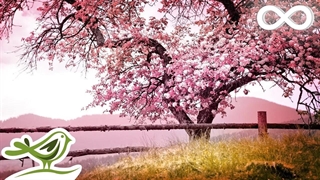 موسیقی آرامش بخش پیانو