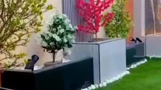 فلاور باکس (سورن بام)