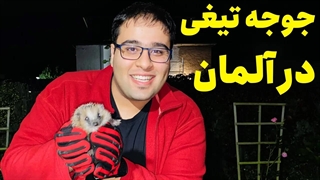 آیا جوجه تیغی یا خارپشت واقعا به آدم تیغ پرتاب میکنه؟ | روز جوجه تیغی