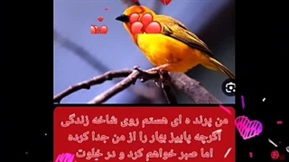 دانلود عکس نوشته