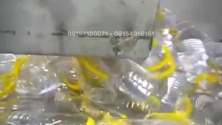 بسته بندی روغن مایع خوراکی 09157100071