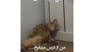 موود منوقتی که درس میخونم