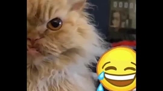 موود من وقتی صبح ازخواب بلند میشم