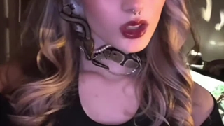 کارای کت یه دورنگرا ازش متنفره