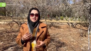 کودهایی که در زمستان باید از آنها استفاده کرد.