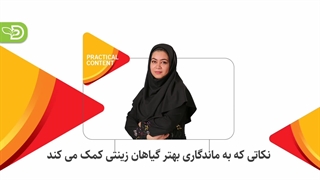 نکاتی که به ماندگاری بهتر گیاهان زینتی کمک می کند.