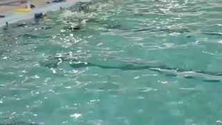 استخر هفت تیر بندرعباس