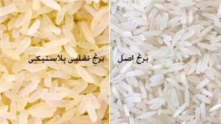 راههای تشخیص برنج اصل از برنج تقلبی و پلاستیکی