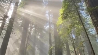 سر راهمون به توکیو...اینجام بریم تروخدا:>>>>"