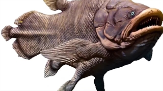 کشف عجیب و شگفت انگیز: موجود ماقبل تاریخی که هنوز زنده است!