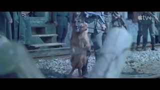 سریال جدید ظاهر جدید The New Look 2024