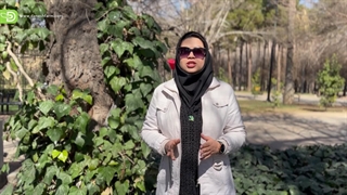 2راهکار عمومی و مهم برای تمام درختان خزان کننده در زمستان