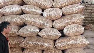 قیمت و خرید لیمو خشک سفید و قهوه ای بدون واسطه