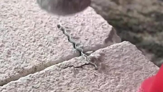 بست کرکره‌ای بلوک هبلکس