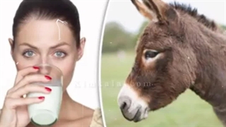 بهترین درمان شیر خر/09120750932