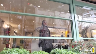 پنجره برقی یا پنجره گیوتینی