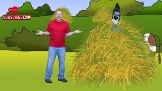 انیمیشن ها و کارتون های سطح بندی شده آموزشی سطح فرست فرندز 2 (animal)