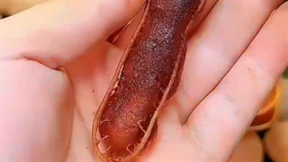 تمرهندی هستن