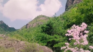 سریال چینی لین چیان جین خارق العاده قسمت 12 (The Great Lin Qian Jin 2025) بازیرنویس فارسی