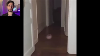 ویدیو جنجالی غذا دادن انسان به جن ها | کامل اجنه رو میبینید