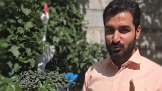 نکات کلیدی در مورد گیاه میخک هندی