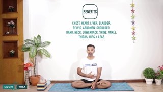 Purvottanasana(Upward Plank Pose) Benefits, How to Do & Contraindications by Yogi Sandeep